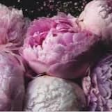 Bridal Skin Consultation & Timeline at Martina Skin Atelier in Hartsdale, NY